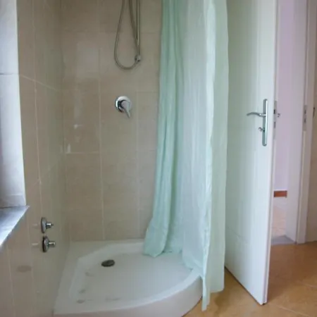 The Golden Rooster * 地拉那