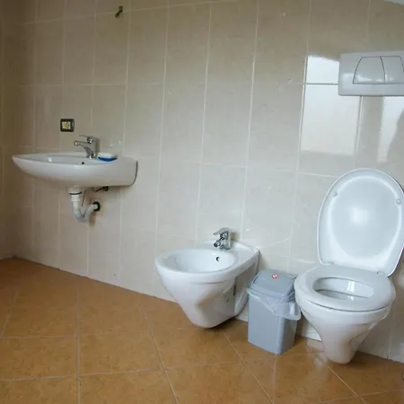 The Golden Rooster Тирана