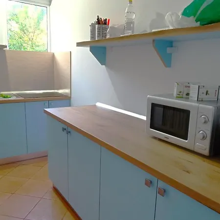 Хостел The Golden Rooster Тирана