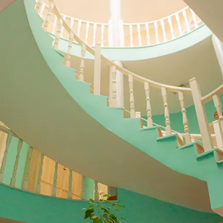 Хостел The Golden Rooster Тирана