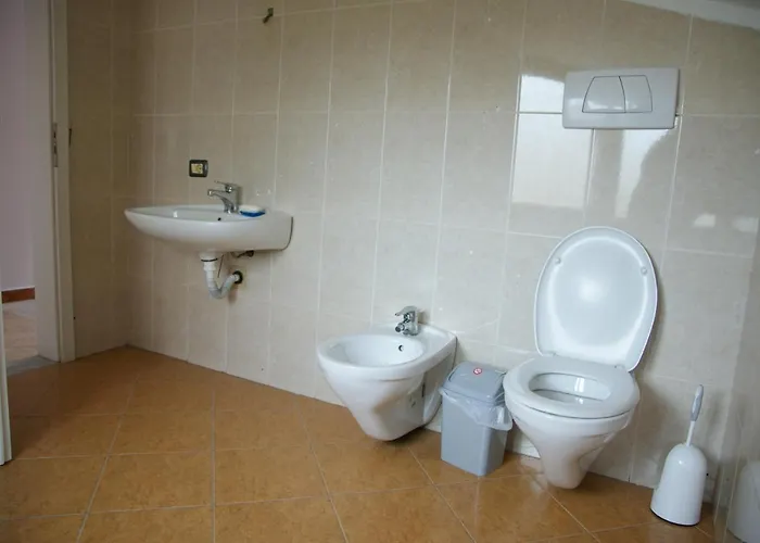 The Golden Rooster טיראנה