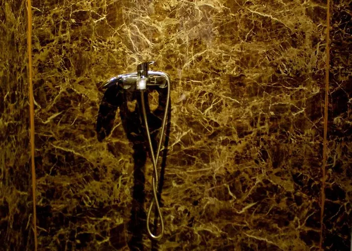 The Golden Rooster אכסניה